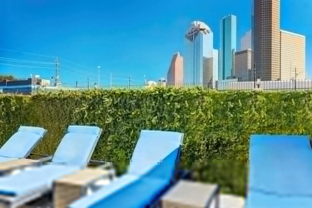 יוסטון Best Western Plus Downtown Inn & Suites מראה חיצוני תמונה